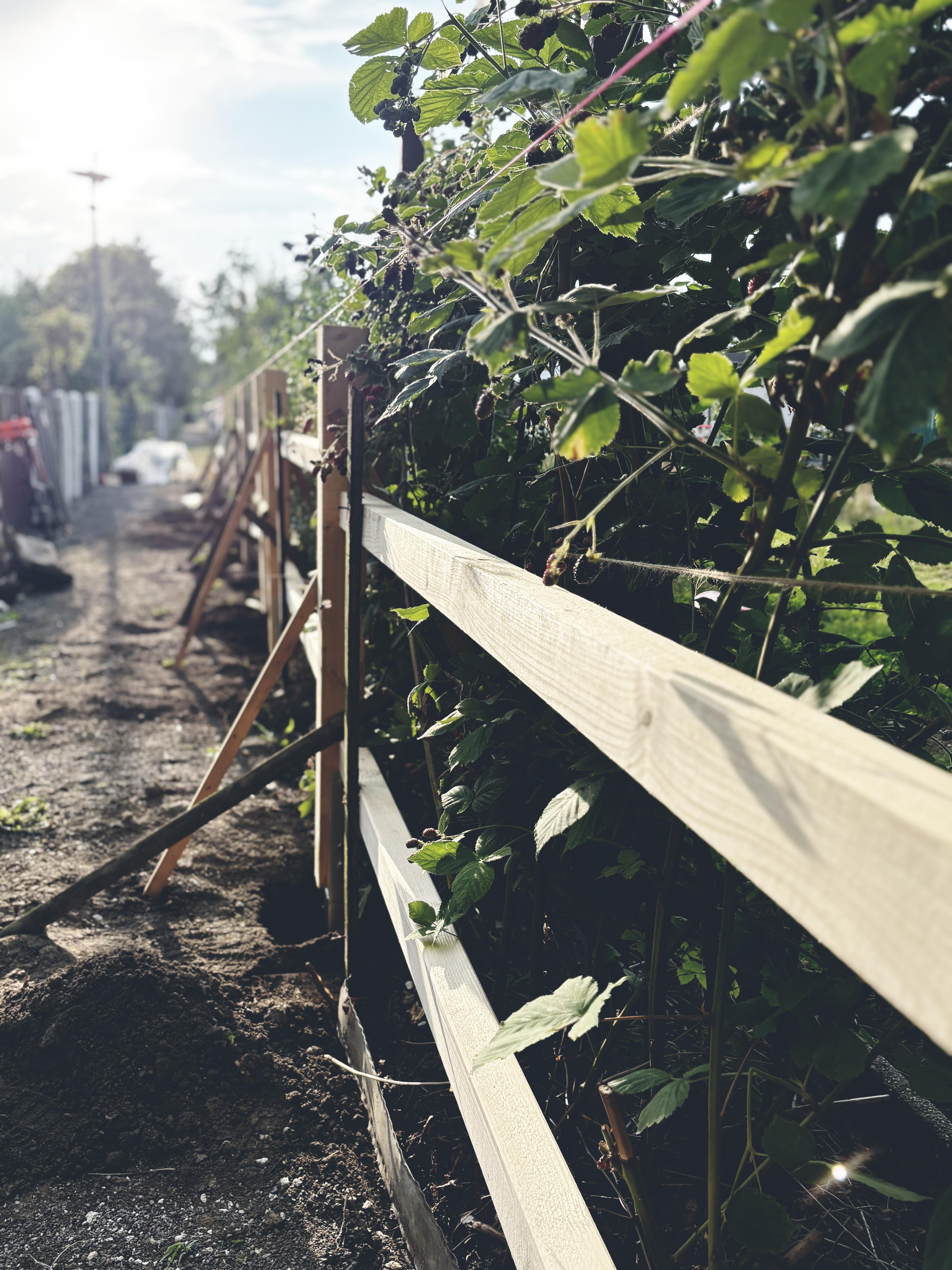 Holzzaun im Aufbau